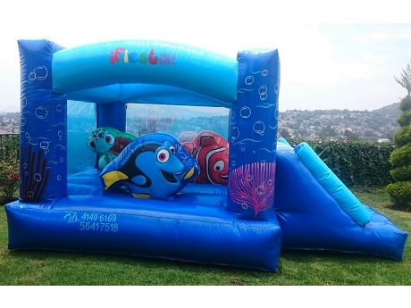 Inflable Dory